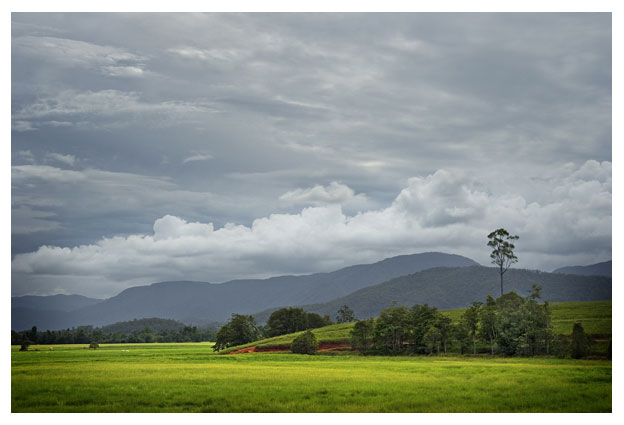 Near Tully Queensland